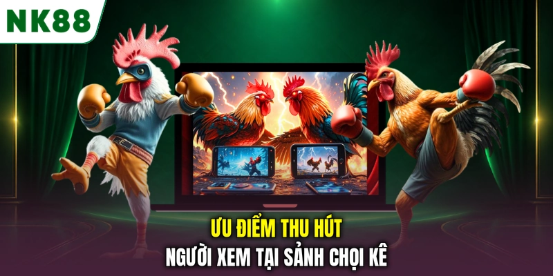 Các ưu điểm nổi bật khi theo dõi đá gà NK88 trực tuyến Ưu điểm thu hút người xem tại sảnh chọi kê